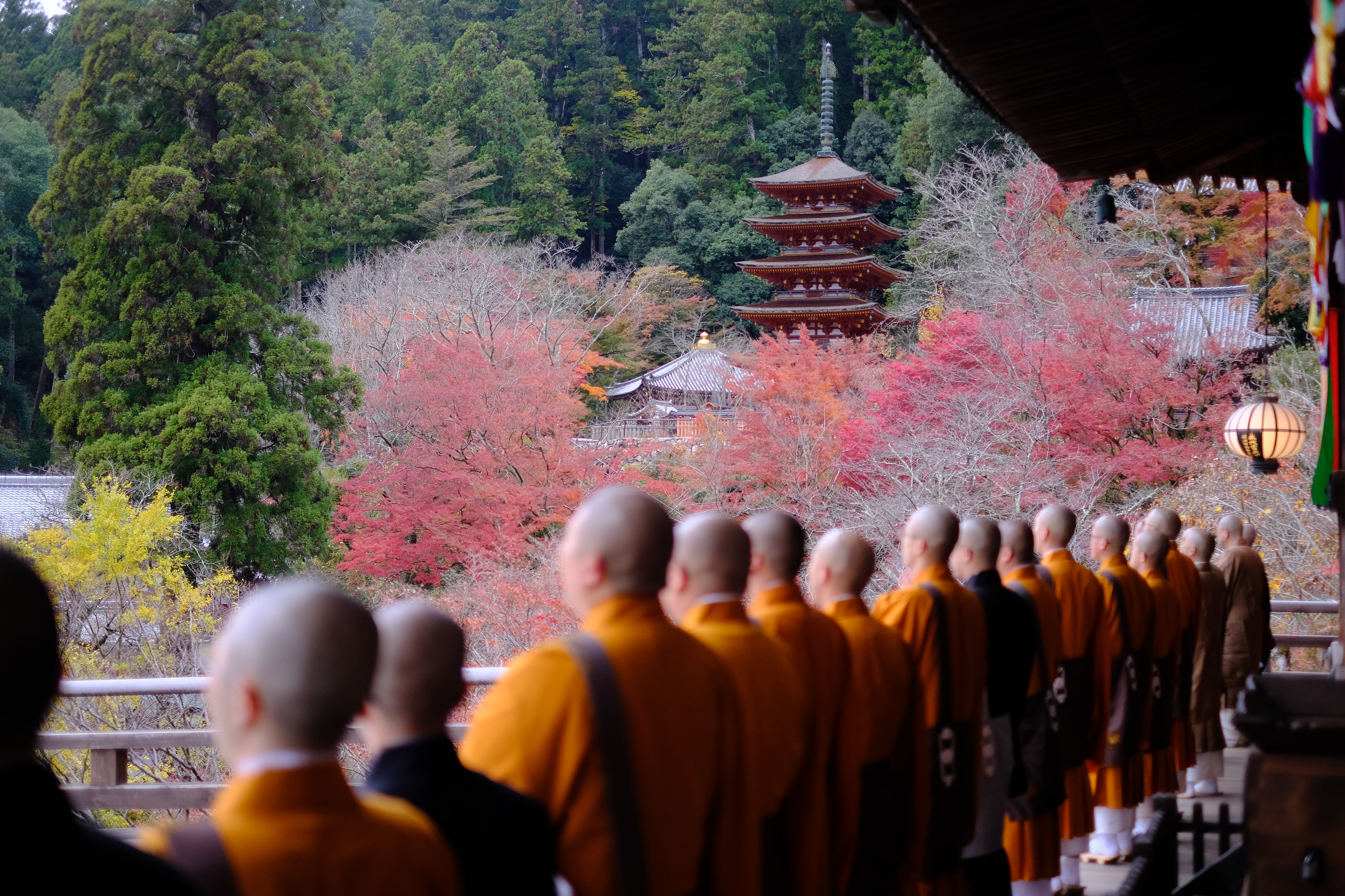 Reset your mind and body in the hidden gems of Hase-dera temple
